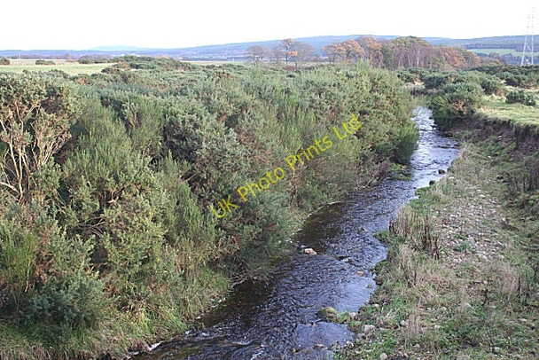 Photo 6"x4" Red Burn Trochelhill c2006