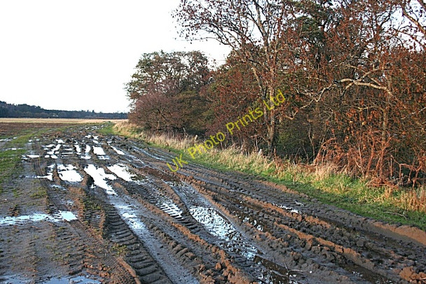 Photo 6"x4" Mud, Glorious Mud! Orton\/NJ3153 c2006