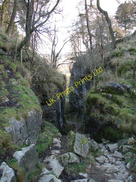Photo 6"x4" Trow Gill Clapham\/SD7469 c2005