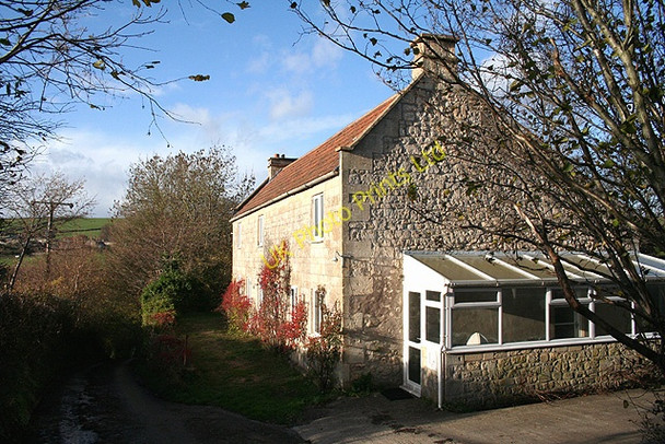 Photo 6"x4" Wellow: Gooseberry Cottage Stony Littleton c2006