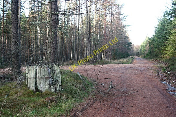 Photo 6"x4" Forest Road Inchberry\/NJ3155 c2006