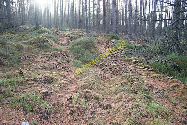 Photo 6"x4" Extraction Track Inchberry\/NJ3155 c2006