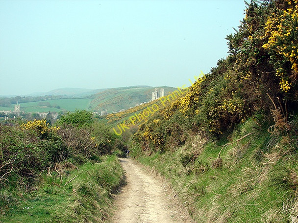 Photo 6"x4" The Purbeck Way, ascending from Corfe Corfe Castle c2006