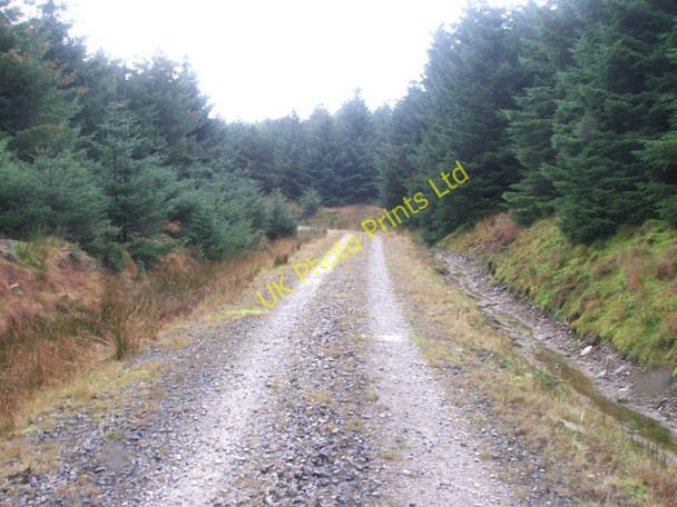 Photo 6"x4" Forestry Road on West Moor. Beckermonds c2006