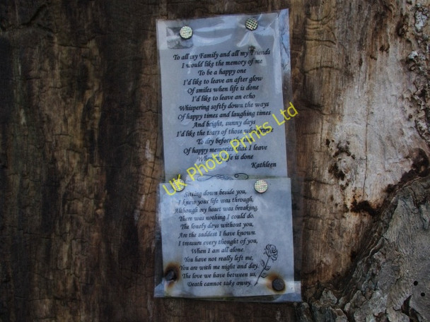 Photo 6"x4" Nailed to a Tree in Langstrothdale. Yockenthwaite c2006