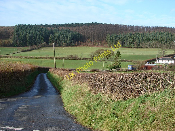 Photo 6"x4" Lane to Pen-y-pontbren Cnwch Coch c2006