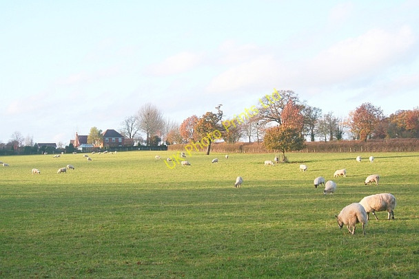 Photo 6"x4" Pasture near Moorcroft Farm Colwall c2006