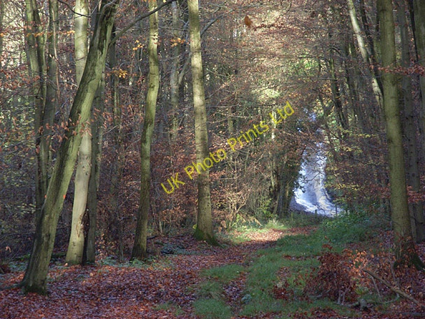 Photo 6"x4" Ashley Hill Burchett's Green c2006
