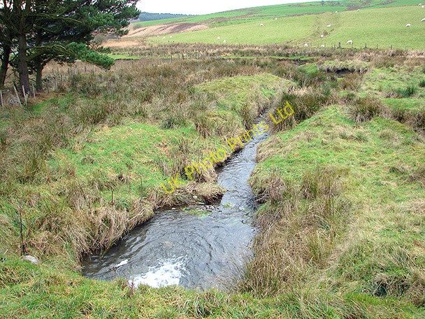 Photo 6"x4" Nant ? Braichyfedw c2006