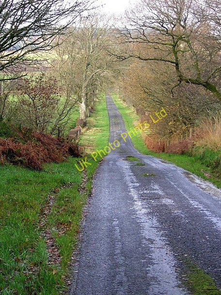 Photo 6"x4" Long Straight Road Nethermill\/NY0487 c2006