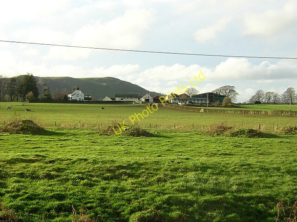 Photo 6"x4" Hazliebrae Farm Nethermill\/NY0487 c2006