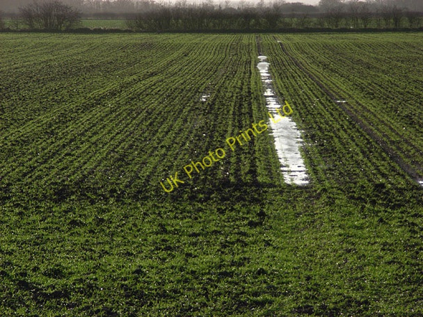 Photo 6"x4" Farmland, Drayton Drayton\/SU4794 c2006