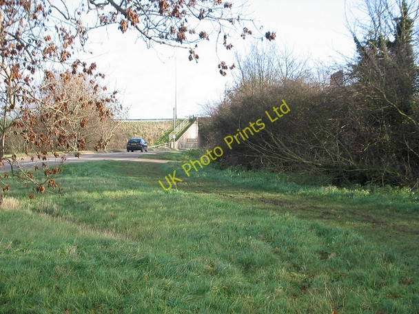 Photo 6"x4" The old road's hedgeline Diseworth c2006