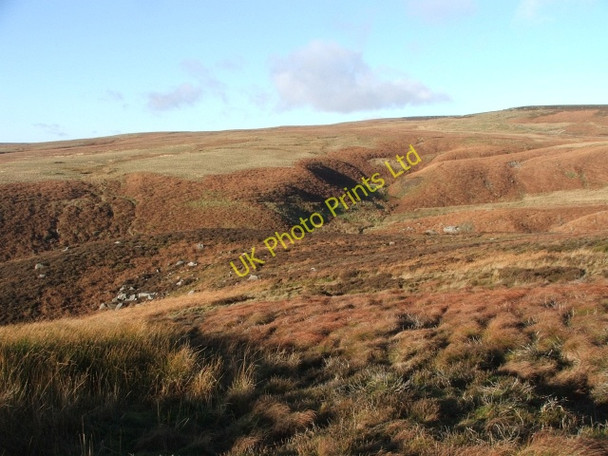 Photo 6"x4" Game Ing Flat. Gate Up Gill c2006