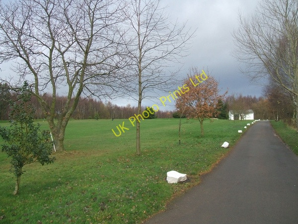 Photo 6"x4" Swindon Golf Club Gospel Ash c2006