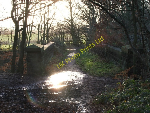 Photo 6"x4" Disused Railway Bridge in Bushcliff Wood. Newmillerdam c2006