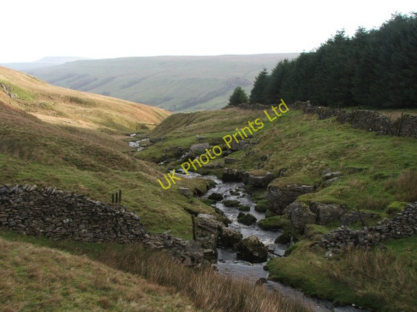Photo 6"x4" Back Gill. Cray\/SD9479 c2006