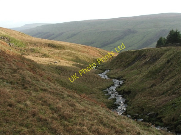 Photo 6"x4" Back Gill. Cray\/SD9479 c2006