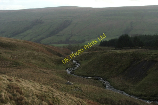 Photo 6"x4" Back Gill. Cray\/SD9479 c2006 P1