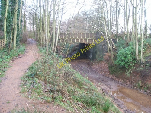 Photo 6"x4" South Staffordshire Railway Walk Himley c2006