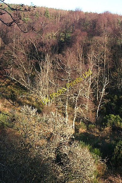 Photo 6"x4" Gorliach Burn Mulben c2006