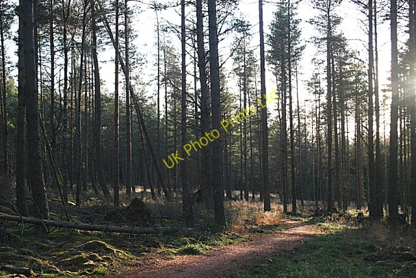 Photo 6"x4" Cycling Trail Orton\/NJ3153 c2006