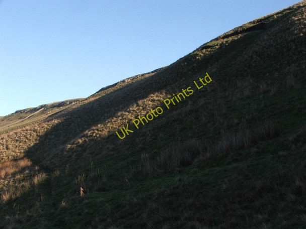 Photo 6"x4" Green Scar. Stalling Busk c2006