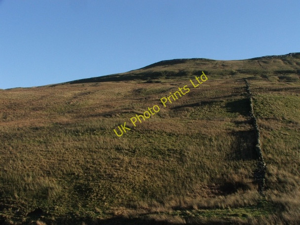 Photo 6"x4" Green Scar Side. Stalling Busk c2006