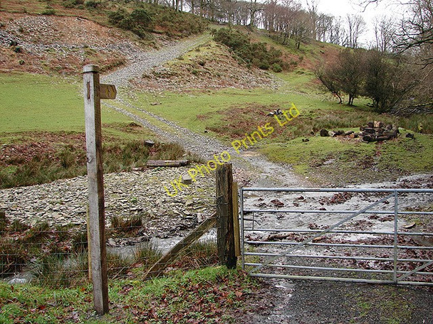 Photo 6"x4" Footpath to Pen yr Allt f\u00c3\u00a2ch Aberhosan c2006
