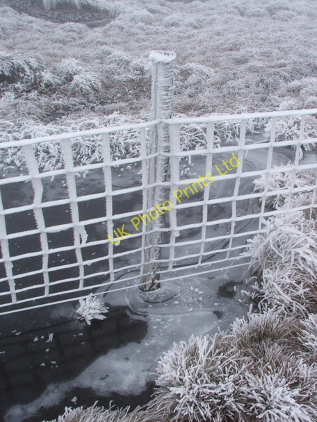 Photo 6"x4" Fence Post on Lovely Seat. Sedbusk c2006