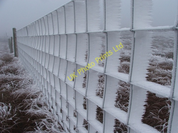 Photo 6"x4" Frozen Fence. Muker c2006