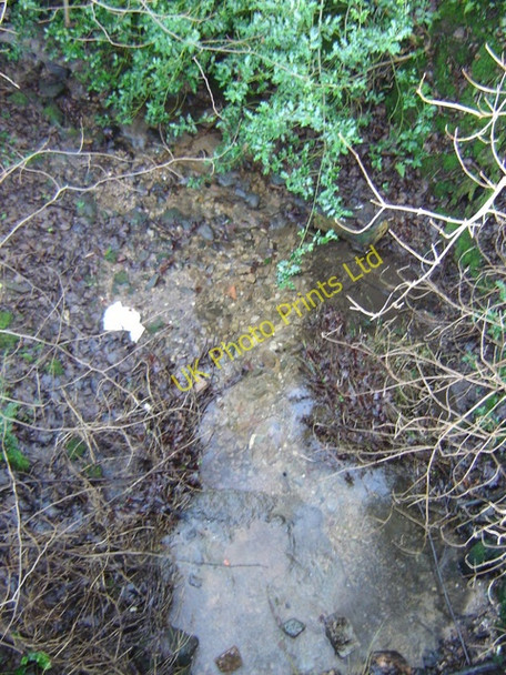 Photo 6"x4" Stream running through The Dell, Pentre Bach, Nercwys Mold\/Yr Wyddgrug c2006