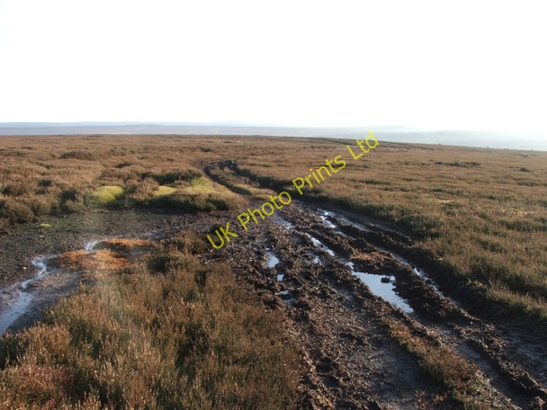 Photo 6"x4" Footpath across Wheeldale Moor. Rutmoor Beck c2006