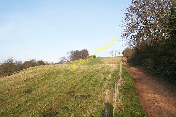 Photo 6"x4" Track up Bredon Hill Kemerton c2006