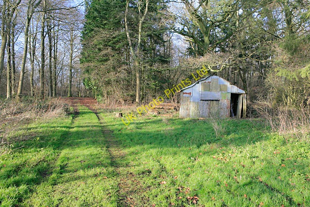 Photo 6"x4" Footpath entering Thorny Down Wood Brown Candover c2007