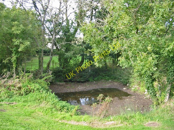 Photo 6"x4" Pond south of Church Knowle Dorset Church Knowle c2005