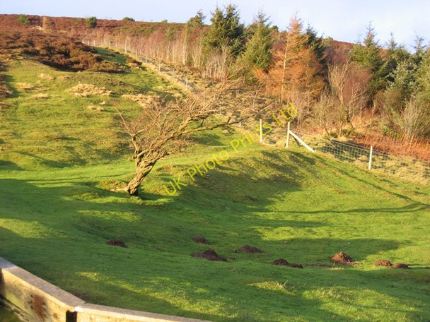 Photo 6"x4" Ancient track from Bwlch Penbarras Gyrn\/SJ1658 c2007