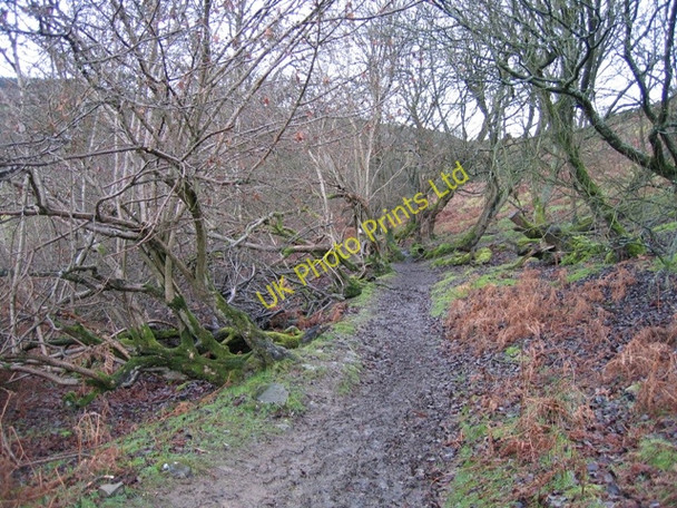 Photo 6"x4" Clwydian Way\/Taith Clwyd Pentre\/SJ1764 c2007