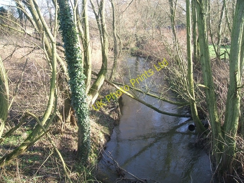 Photo 6"x4" Saredon Brook Calf Heath c2007