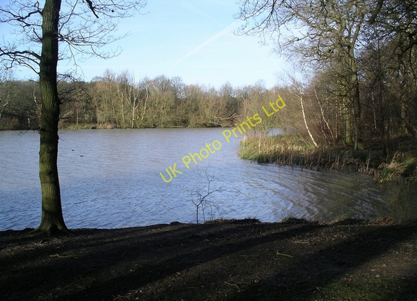 Photo 6"x4" What a difference a day makes! Friezeland c2007