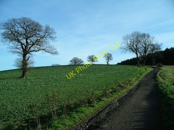 Photo 6"x4" What a difference a day makes 2! Friezeland c2007