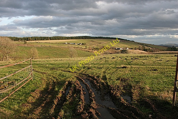 Photo 6"x4" Rutted Field Gateway Glen of Newmill c2007