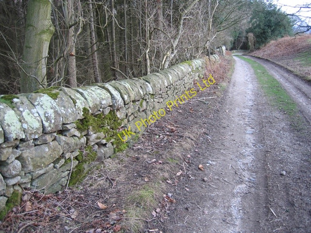 Photo 6"x4" Stone Wall at Gwysaney Cefn-eurgain c2007