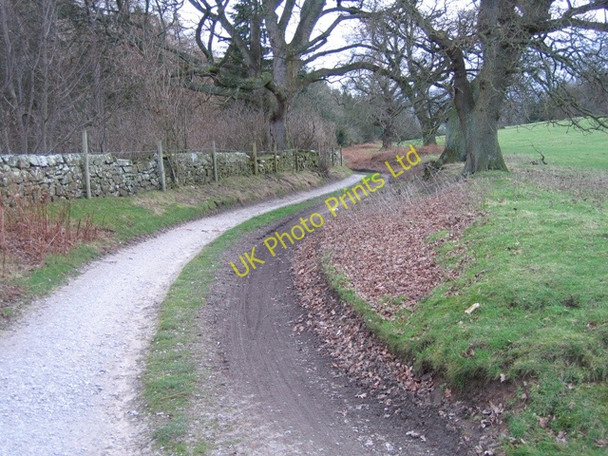 Photo 6"x4" Track from Gwysaney to Blackbrook Cefn-eurgain c2007