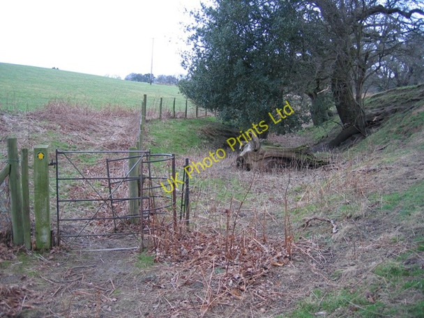 Photo 6"x4" Footpath at Gwysaney Cefn-eurgain c2007