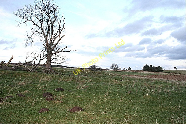 Photo 6"x4" Foggie Moss Glen of Newmill c2007