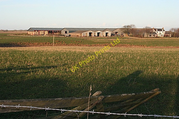 Photo 6"x4" Savoch Farm Crimonmogate c2007