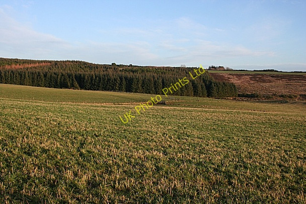 Photo 6"x4" Burn of Aultmore Glen of Newmill c2007 P1
