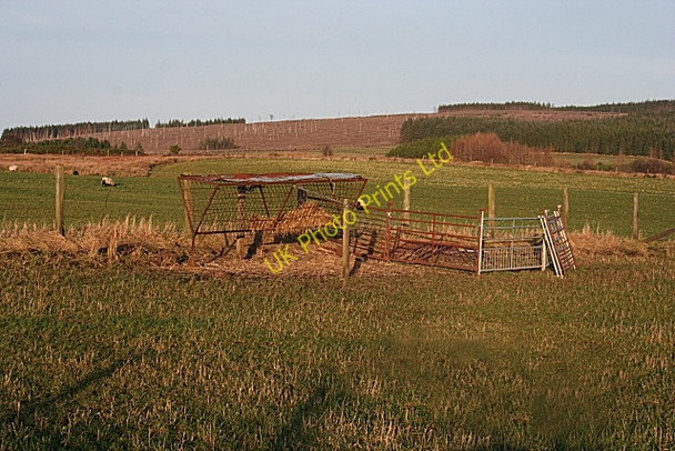 Photo 6"x4" Looking Towards Plaiding Knowe Glen of Newmill c2007