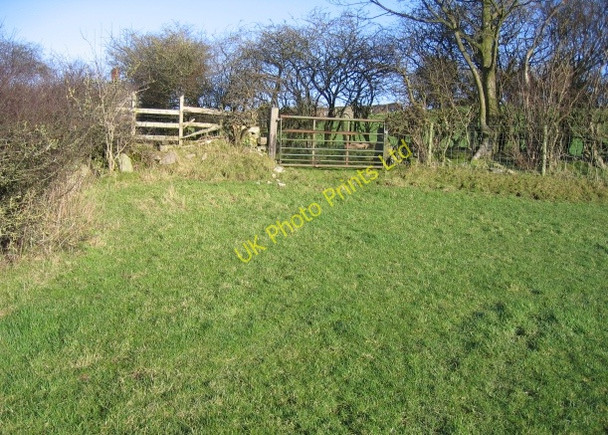 Photo 6"x4" Field Gate and Stile at Moel-y-crio Moel-y-crio c2007